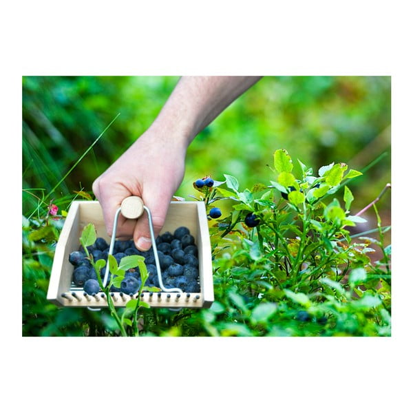 Česač borůvek z bukového dřeva Esschert Design Pond-image-2