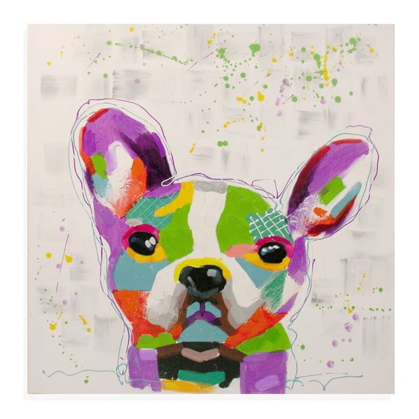 Obraz na plátně Bulldog, 80x80 cm