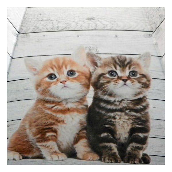 Deštník Scaffold Wood Kittens Red-image-1