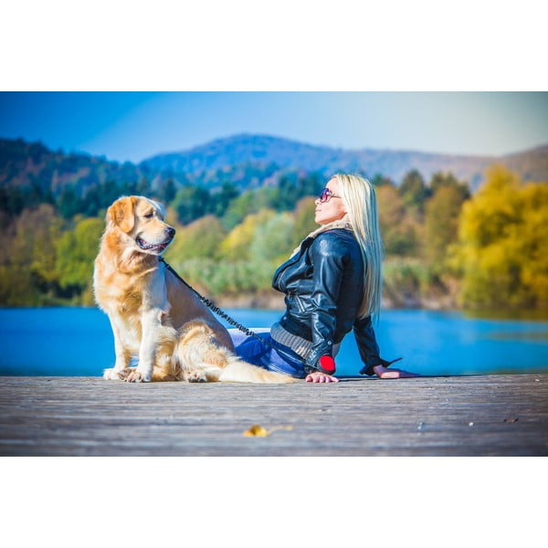 Zelené vodítko velikost L 3 Neon – Lishinu-image-4