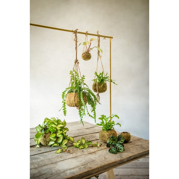 Květináč ø 20 cm Kokedama – Esschert Design-image-2