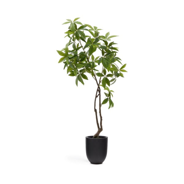 Umělá rostlina (výška 180 cm) Pachira – Kave Home