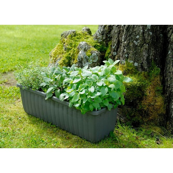 Antracitově šedý samozavlažovací truhlík, délka 80 cm Siesta - Plastia-image-1