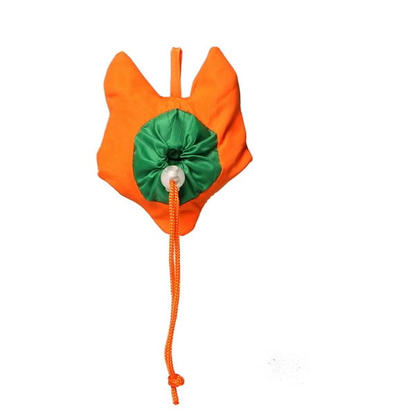 Nákupní taška Sass & Belle Fox Foldable-image-1