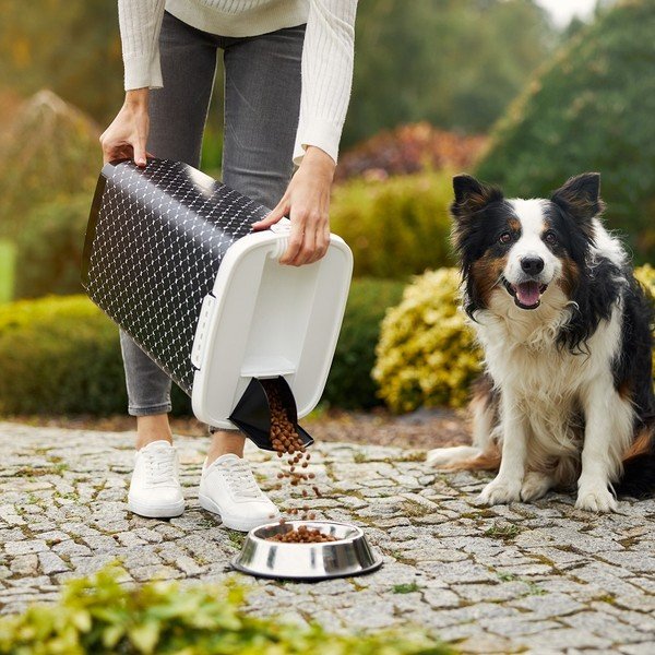 Černý box na granule 25 l Cody - Rotho-image-2