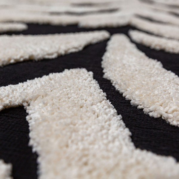 Černobílý koberec 200x300 cm Esra Zebra – Flair Rugs-image-2