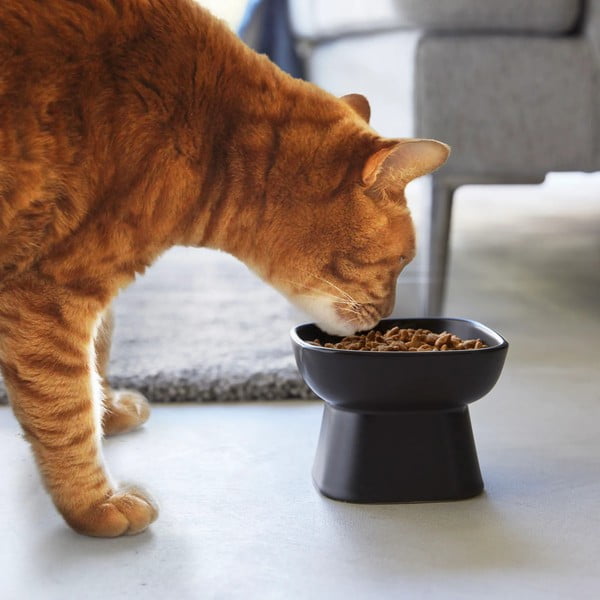 Keramická miska pro domácího mazlíčka Tower – YAMAZAKI-image-1