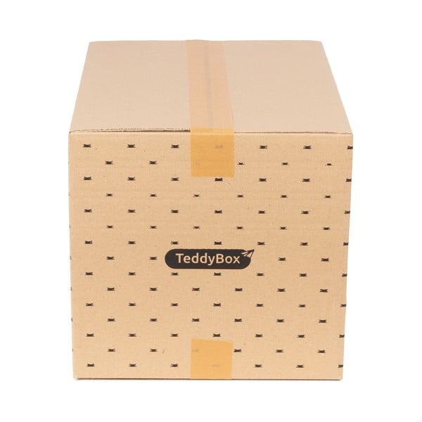 Sada 2 béžových úložných boxů Compactor Teddy, 42 x 30 cm