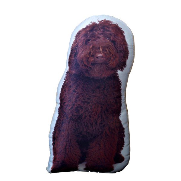 Polštářek s potiskem Cockapoo Adorable Cushions