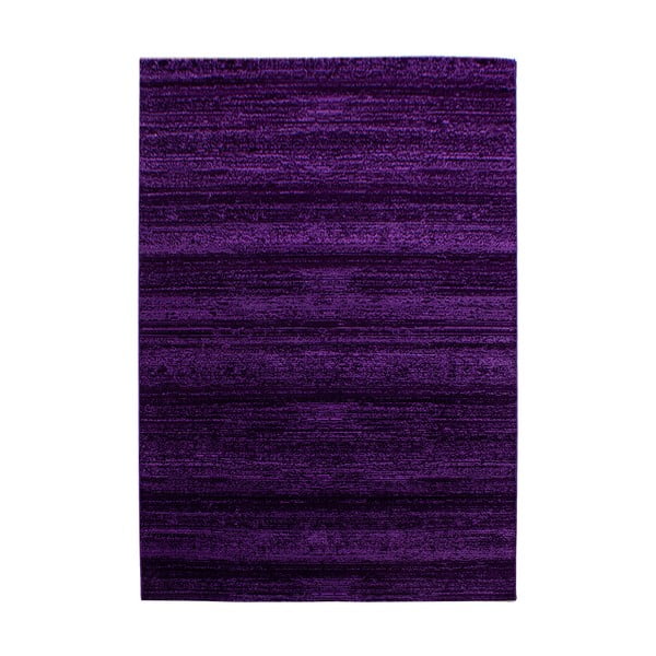 Tmavě fialový koberec 160x230 cm Plus – Ayyildiz Carpets