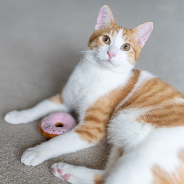 Hračky pro kočku v sadě 3 ks Donuts – P.L.A.Y.-image-2