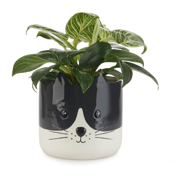 Keramický květináč ø 13,5 cm Kitty – Balvi-image-1