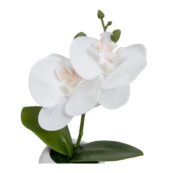 Umělé rostliny v sadě 3 ks (výška 15 cm) Orchid – Casa Selección-image-1