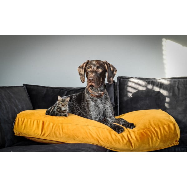 Žlutá matrace pro psa 80x55 cm – Madison-image-1