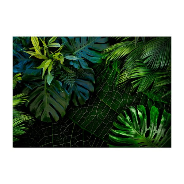 Velkoformátová tapeta Artgeist Dark Jungle, 400 x 280 cm