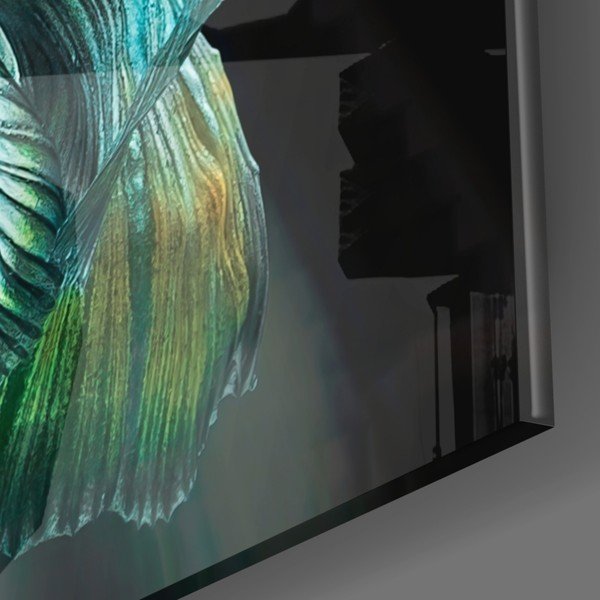 Skleněný obraz Insigne Betta-image-3