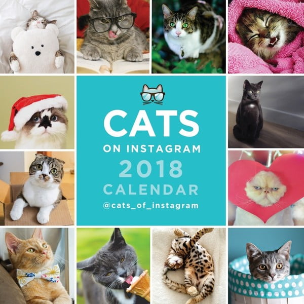 Malý nástěnný kalendář pro rok 2018 Portico Designs Cats On Instagram
