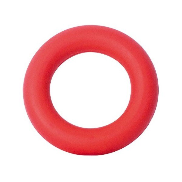 Psí hračka Ring Dogtoy