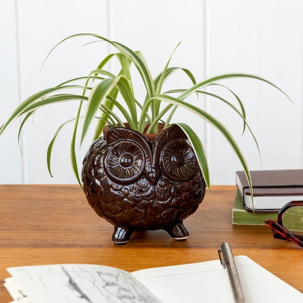 Keramický obal na květináč ø 11 cm Owl – Rex London-image-2