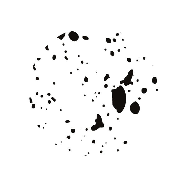 4dílný černo-bílý stolní organizér Bigso Box of Sweden Lena-image-4