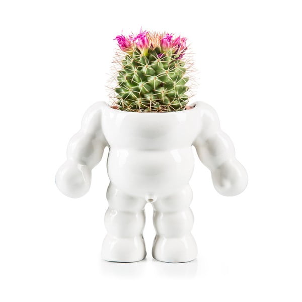 Květináč Donkey King Cactus