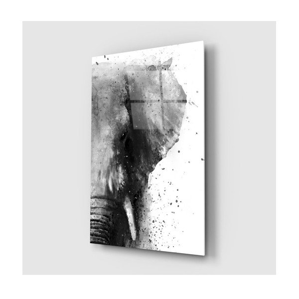 Skleněný obraz Insigne Elephant, 46 x 72 cm