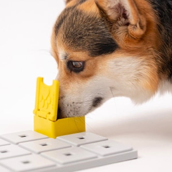 Hlavolam pro psy Base – Pawzler-image-1