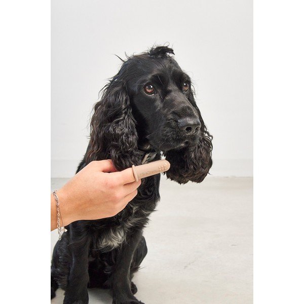 Zubní kartáčky pro domácího mazlíčka v sadě Dito – MiaCara-image-2