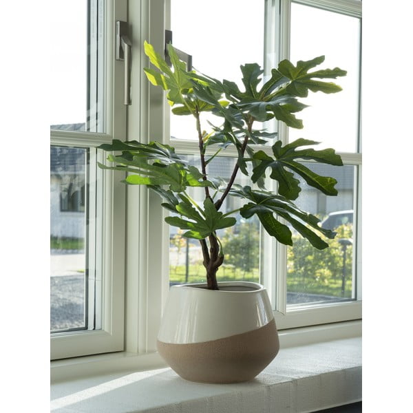 Umělá rostlina (výška 60 cm) Fig – House Nordic-image-1