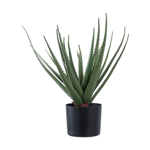 Umělá rostlina (výška 51 cm) Aloe Vera – House Nordic