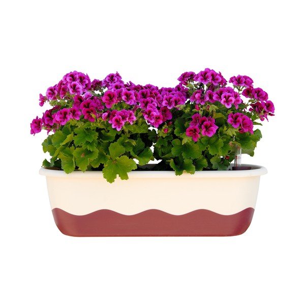 Bílo-růžový samozavlažovací truhlík Plastia Mareta, délka 80 cm-image-1