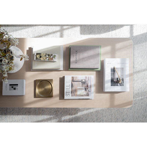 Konferenční stolek s deskou v dubovém dekoru ve světle přírodní barvě 70x160 cm Driscoll – Rowico-image-3