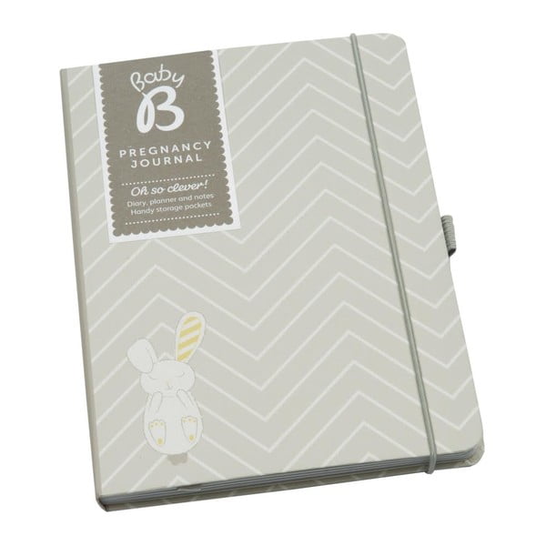 Deník pro těhotné maminky Pregnancy Journal