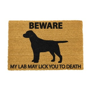 Rohožka z přírodního kokosového vlákna Artsy Doormats Labrador, 40 x 60 cm