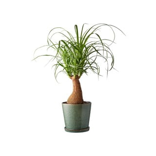 Kameninový obal na květináč ø 14 cm – Bitz