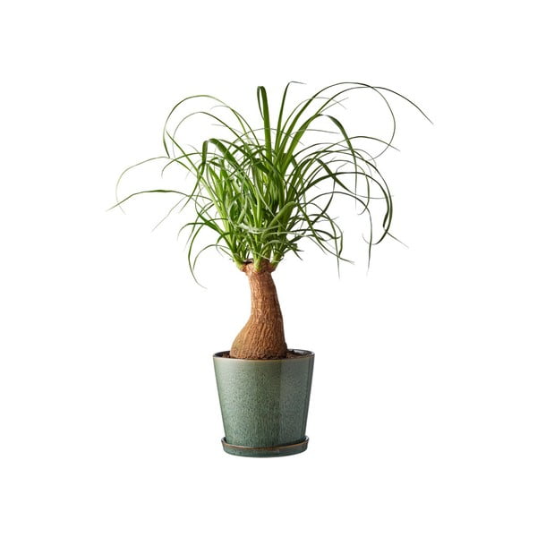 Kameninový obal na květináč ø 14 cm Gastro Green/Black – Bitz-image-1