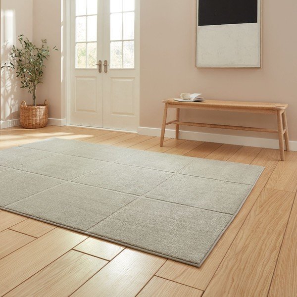 Světle šedý koberec 120x170 cm Elio Silver – Think Rugs-image-2