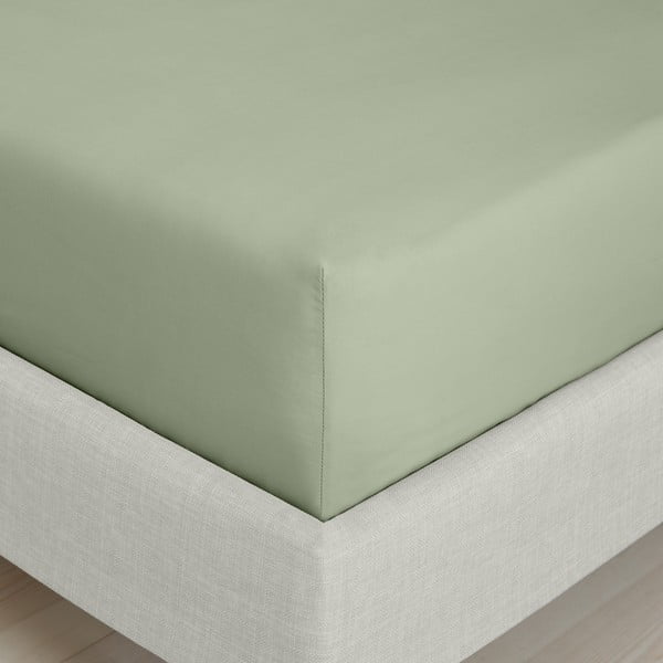 Zelené napínací prostěradlo z bavlněného perkálu 150x200 cm Cotton Percale – Bianca-image-3