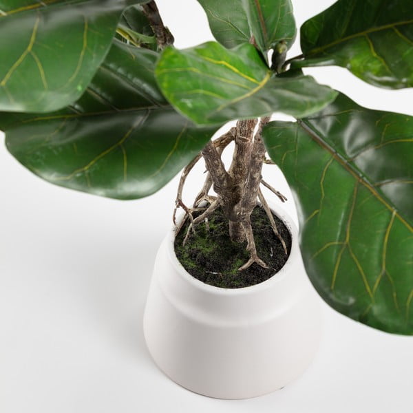 Umělý fíkus (výška 60 cm) Lyrata – Kave Home-image-1