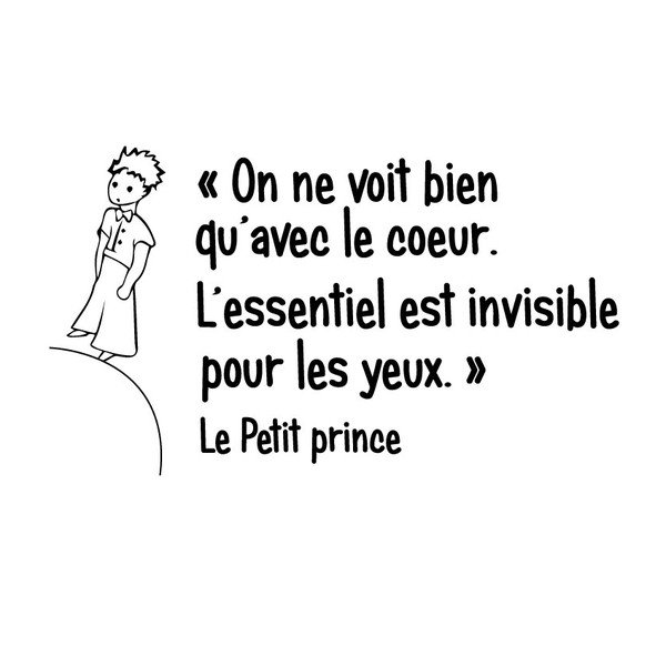 Samolepka Ambiance Le Petit Prince-image-2
