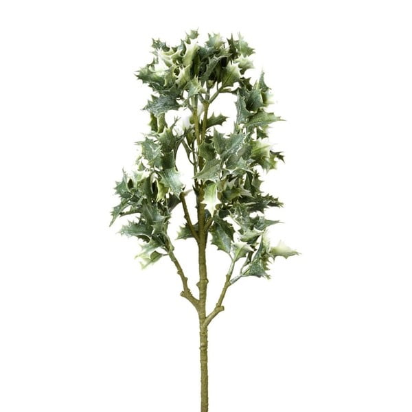 Dekorativní větvička Parlane Holly Leaves, délka 60 cm