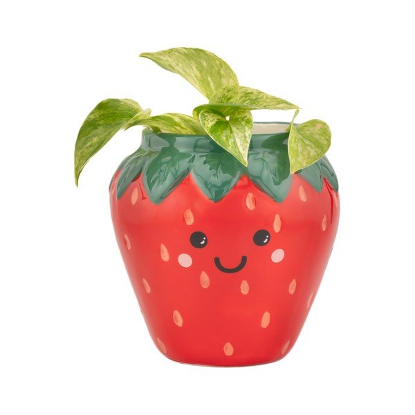 Keramický obal na květináč ø 10 cm Strawberry – Sass & Belle-image-1