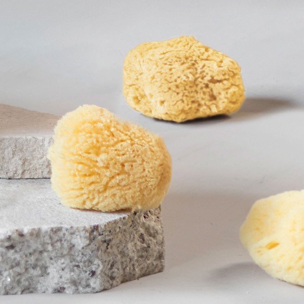 Čisticí houby na obličej v sadě 5 ks Ocean – Mette Ditmer Denmark-image-4