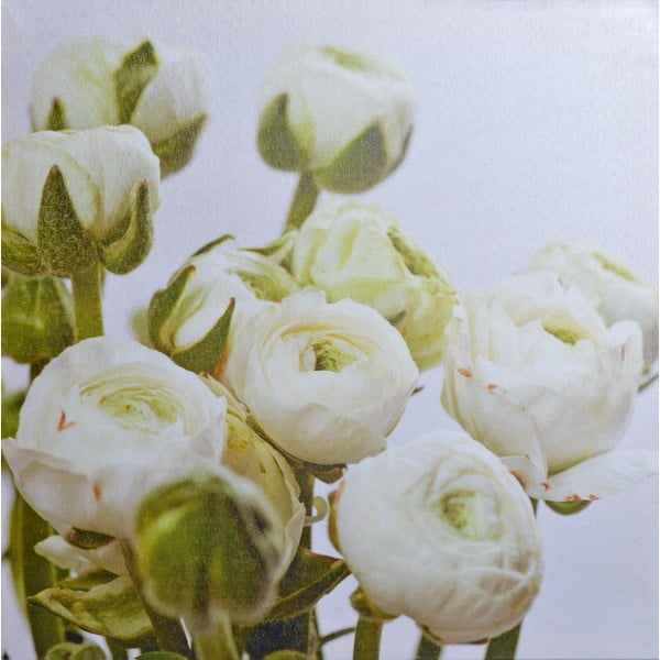Obraz Bílé květy, 40x40 cm