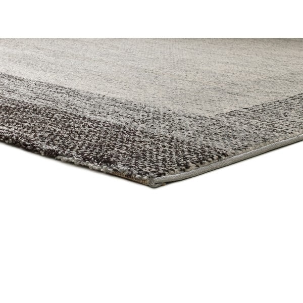 Šedý koberec 80x150 cm Delta – Universal-image-2