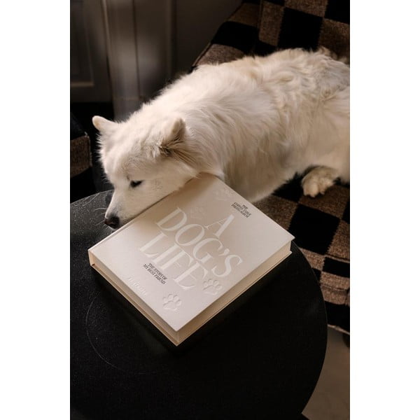 Fotoalbum  A Dog's Life – Printworks-image-3