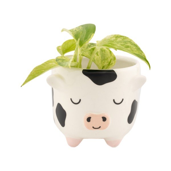 Keramický obal na květináč ø 7,5 cm Cow – Sass & Belle-image-1