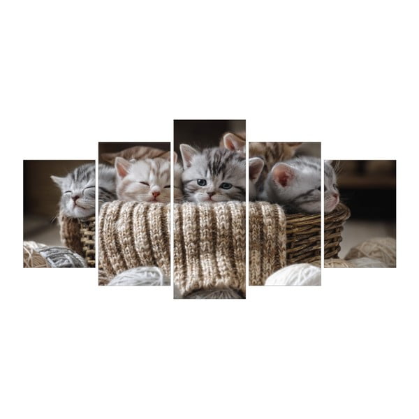 Vícedílný obraz La Maison Des Couleurs Kittens