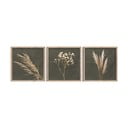 Obrazy v sadě 3 ks 30x30 cm Pampas – Styler