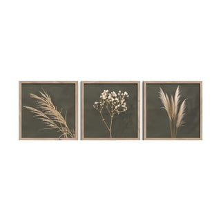 Obrazy v sadě 3 ks 30x30 cm Pampas – Styler